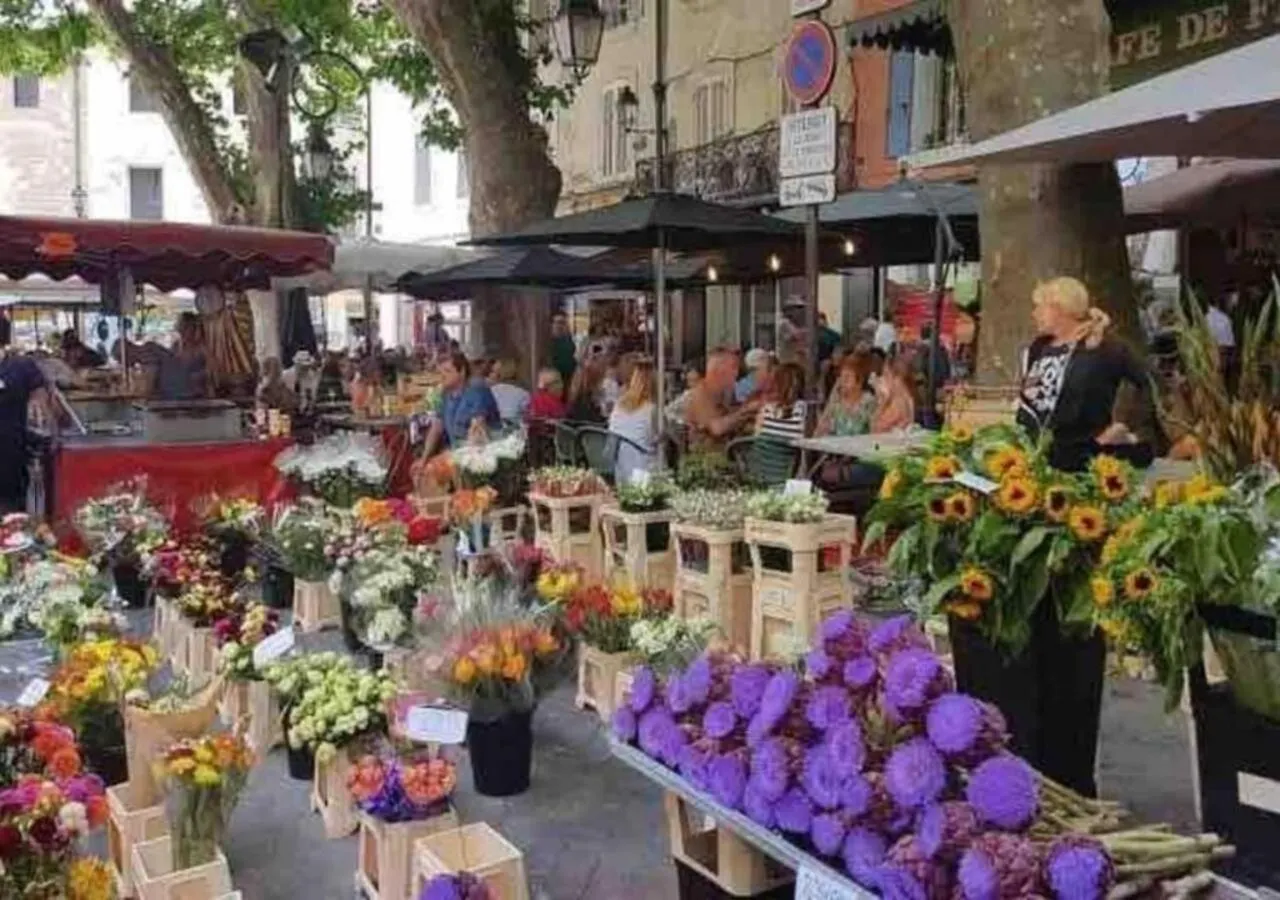 L' Isle Sur La Sorgue Coeur Luberon Provence Villa L'Isle-sur-la-Sorgue 0*,  France